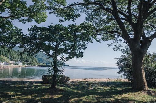 琵琶湖 琵琶湖の写真