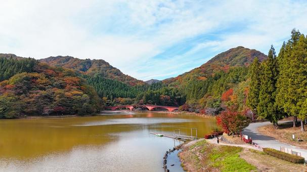 碓氷湖　夢のせ橋と紅葉　空撮 紅葉,山,赤の写真素材