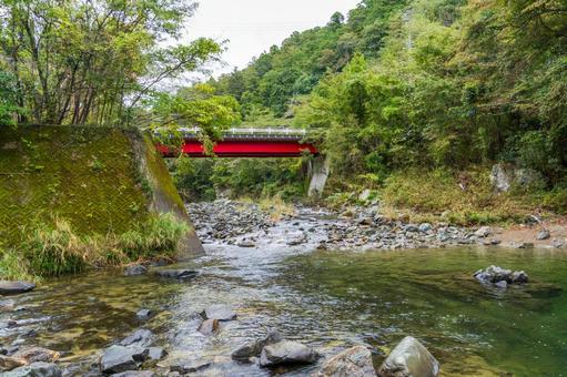 静岡県浜松市川合渕公園 日本,静岡県,浜松市の写真素材