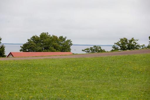 公園の緑地とサロマ湖 公園の緑地とサロマ湖 道の駅,愛ランド湧別,サロマ湖の写真素材