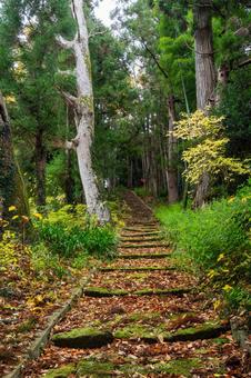 八雲神社⑸ 神社,八雲神社,神社仏閣の写真素材