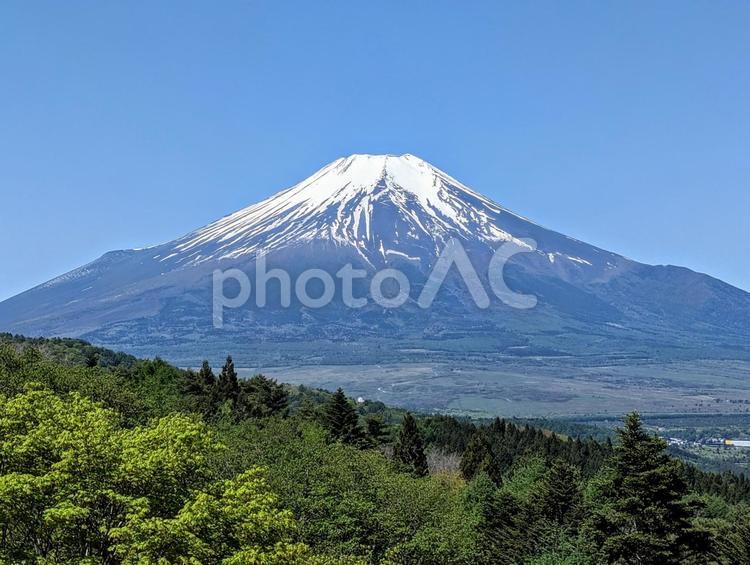 忍野村から眺める富士山 富士山,世界遺産,自然の写真素材