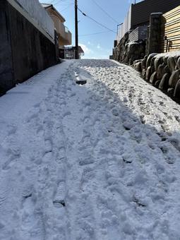 雪景色 雪景色 冬,道路,屋外の写真素材