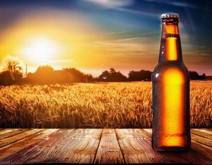 ビール瓶 ビール瓶の写真