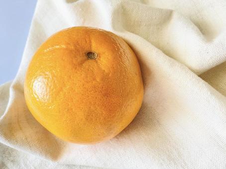 ヘタが取れているタンカン ヘタが取れているタンカン タンカン,果物,フルーツの写真素材