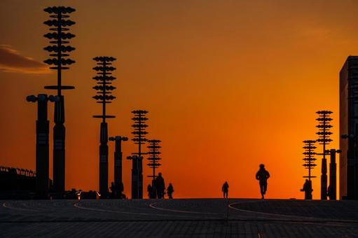沈む夕日に染まる都市 夕日,都市,街灯の写真素材