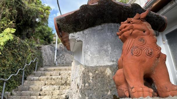 沖縄　那覇　首里　金城町石畳道 沖縄,那覇,首里の写真素材