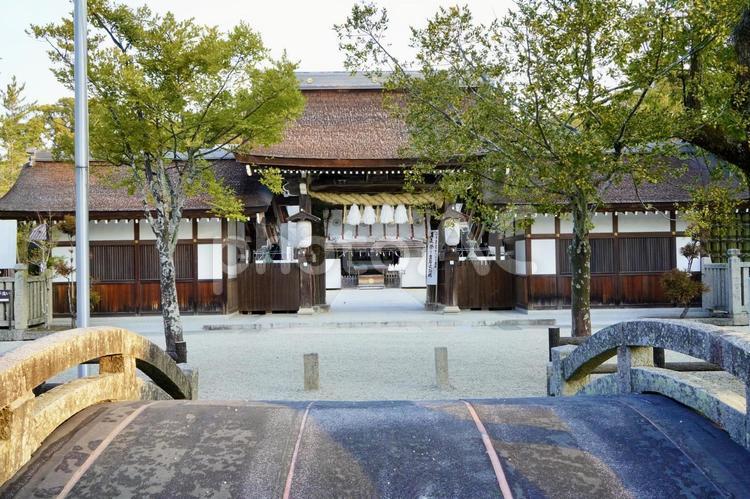 兵庫　伊弉諾神宮　神橋と表神門 伊弉諾神宮,神社,神宮の写真素材