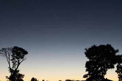 黄昏時の静寂な空に浮かぶ星と大木 空,夜空,夕焼けの写真素材