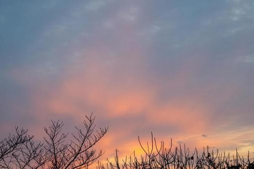 夕焼けの空 夕焼けの空の写真