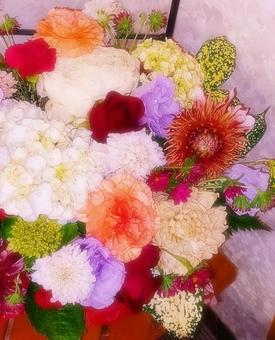 花いろいろ３の写真