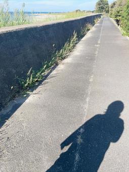 道路と人の影　縦 道,地面,アスファルトの写真素材