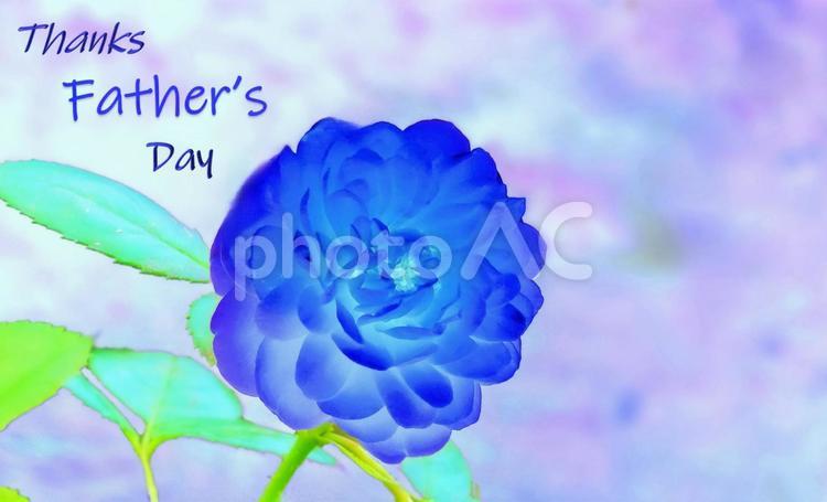 父の日イメージ素材/ブルーローズ 父の日,青いバラ,花の写真素材