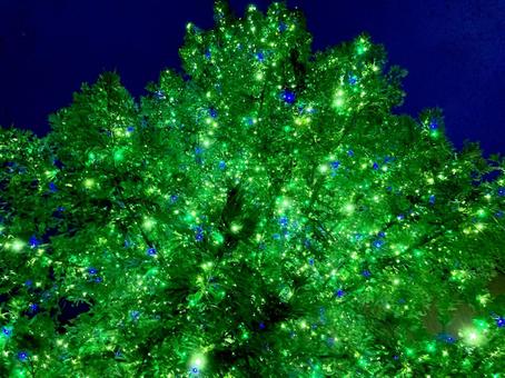 イルミネーション イルミネーション,電飾,光の写真素材