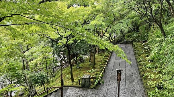 坂東33観音 04番 長谷寺 雨天の参道 坂東33観音 04番 長谷寺 雨天の参道 長谷寺,海光山,慈照院の写真素材