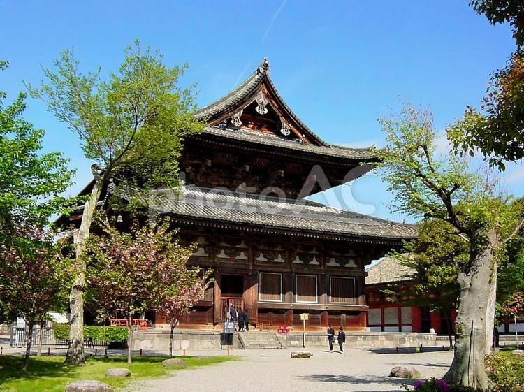 新緑の東寺の風景 東寺,京都,世界遺産の写真素材