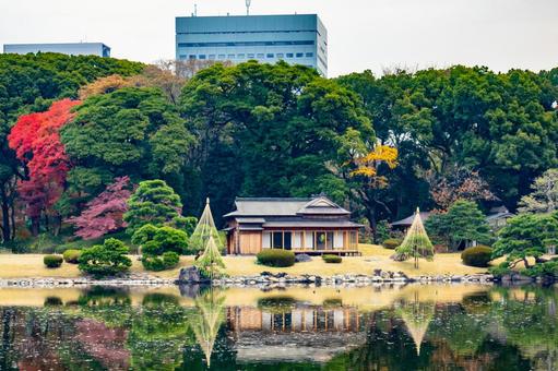 日本庭園:浜離宮恩賜庭園 日本庭園:浜離宮恩賜庭園の写真