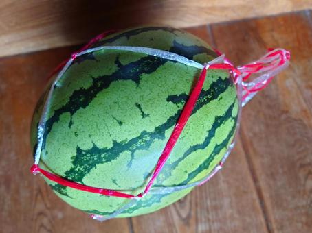 夏の果物!スイカ(3) 夏の果物!スイカ(3) 夏,果物,スイカの写真素材