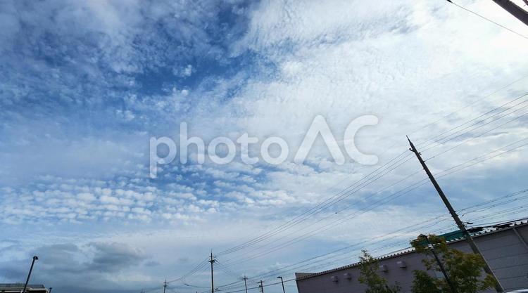 電線と青空と雲 空,青空,晴れの写真素材