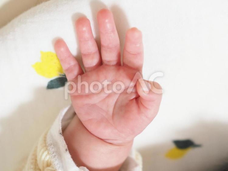 新生児の赤ちゃんの手 手,指,むちむちの写真素材