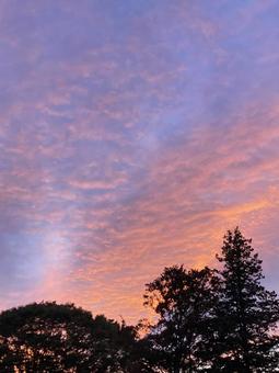 幻想的な秋の夕焼け空の写真