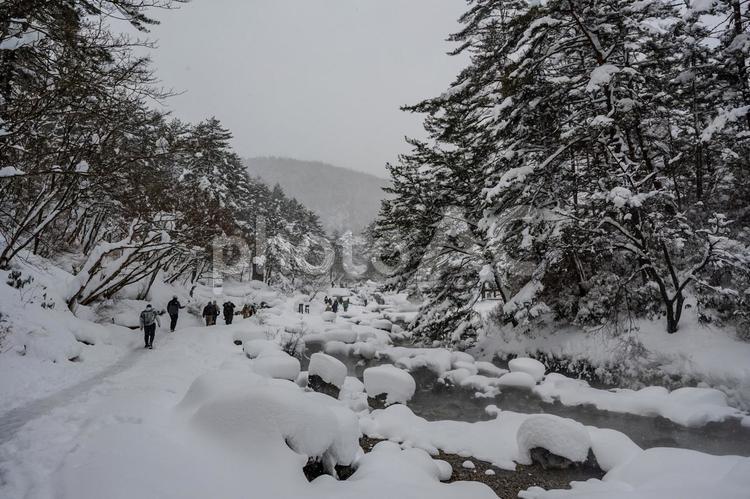 大雪に見舞われた草津 西の河原公園,雪,積雪の写真素材