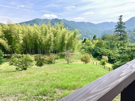 ウッドデッキから見た自然と森 ウッドデッキから見た自然と森の写真