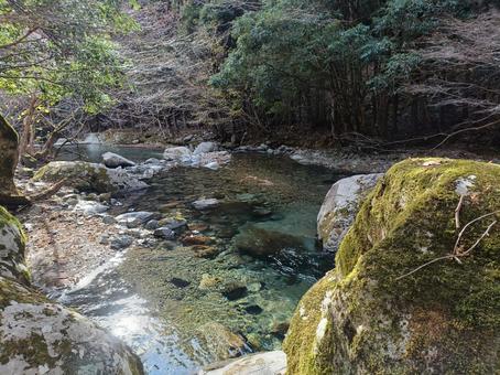 透明な川と苔むす岩 透明な川と苔むす岩 渓流,森,自然の写真素材