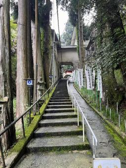能勢妙見山本瀧寺参道の階段 能勢妙見山本瀧寺参道の階段の写真