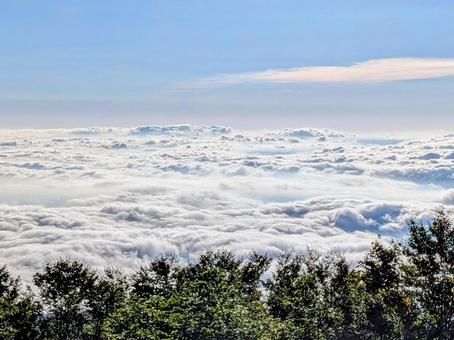 雲の海 雲の海 雲海,雲,山の写真素材