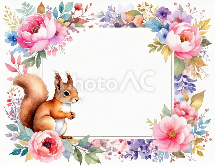リスと花のフレーム 動物,リス,小動物の写真素材