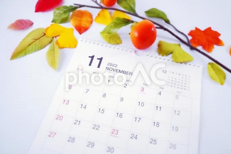 2022年11月カレンダーと落ち葉、柿２ 11月,カレンダー,2022年の写真素材