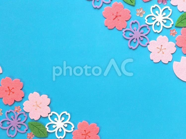 桜フェルトの空色フレーム 桜,春,フレームの写真素材