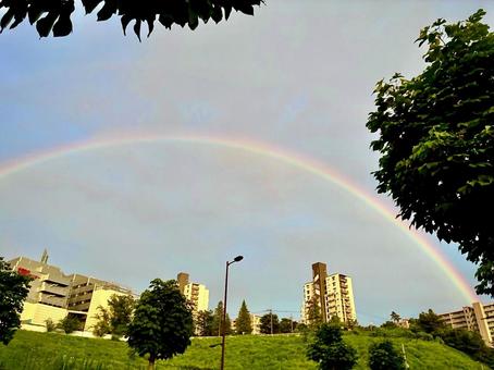 夏の雨上がりの綺麗な虹3 夏の雨上がりの綺麗な虹3の写真