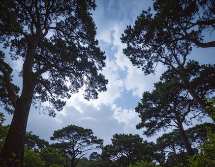 曇り空の風景 曇り空の風景の写真