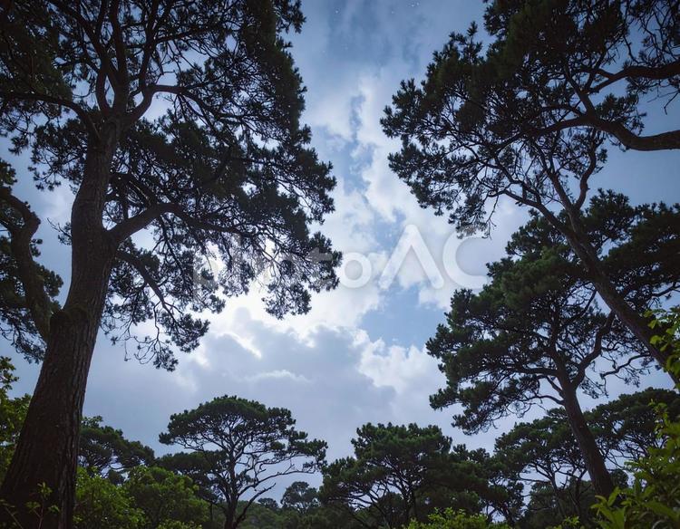 曇り空の風景 空,曇り,雲の写真素材
