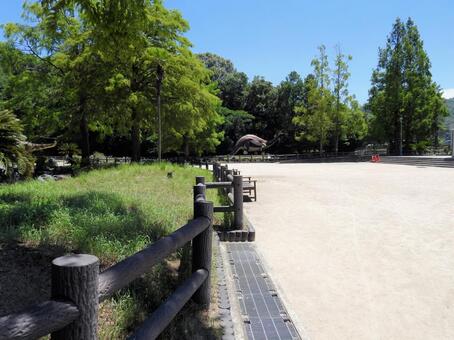 笠岡市立カブトガニ博物館 カブトガニ博物館,岡山県,笠岡市の写真素材