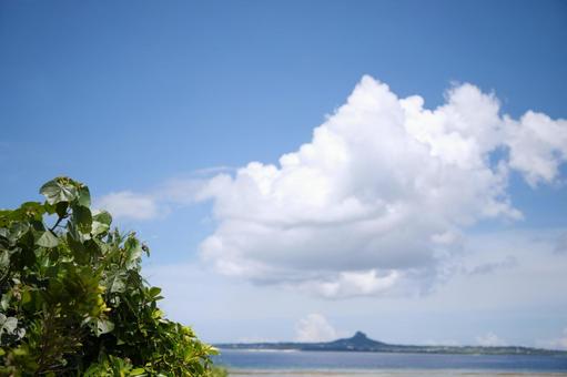 沖縄の海と空と植物 沖縄の海と空と植物 空,雲,青空の写真素材