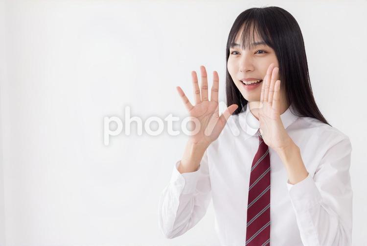 声援・応援する女子高生　内緒話・秘訣 女性,女子高生,応援の写真素材