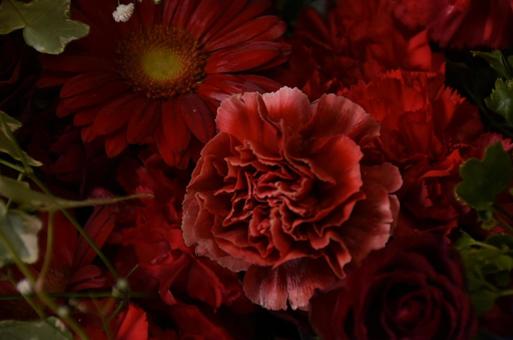 花アップ 諏訪神社,札幌,秋の写真素材