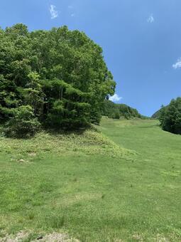 夏空と緑が広がる高原の斜面 高原,草原,斜面の写真素材