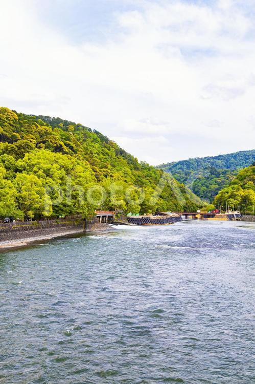 宇治川と宇治公園(橘島)と橘橋と朝霧橋 宇治川,宇治公園,朝霧橋の写真素材