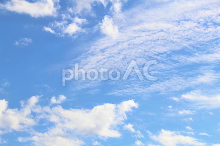 荒川線周辺 空,秋,雲の写真素材