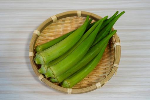 丸くてやわらかい希少な丸オクラ 丸オクラ,夏野菜,オクラの写真素材