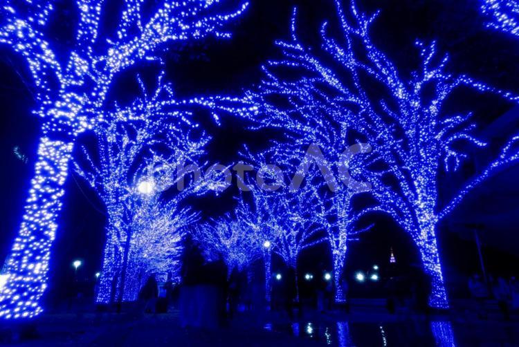 青の洞窟　イルミネーション 東京都,青の洞窟,クリスマスの写真素材