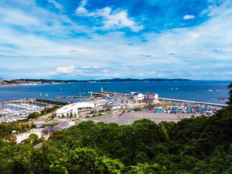 江島から見下ろす 江島から見下ろす 江島,江の島,マリーナの写真素材