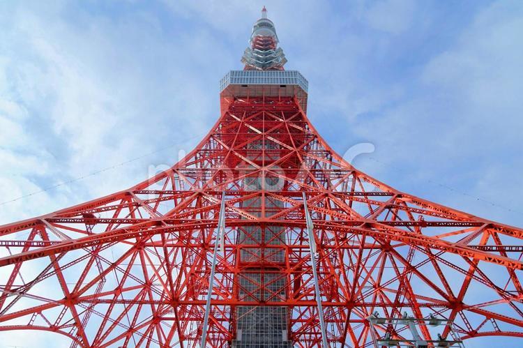 東京タワーを真下から 東京タワー,タワー,港区の写真素材