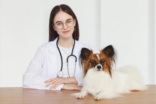 ペットと聴診器をつけた女性 保険,契約,ペット保険の写真素材