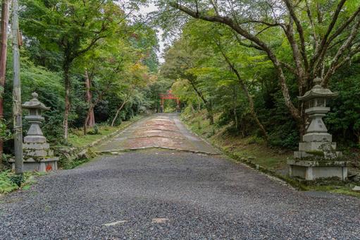 滋賀 日吉大社 西本宮 山王鳥居 滋賀 日吉大社 西本宮 山王鳥居 日吉大社,日枝社,日吉の写真素材