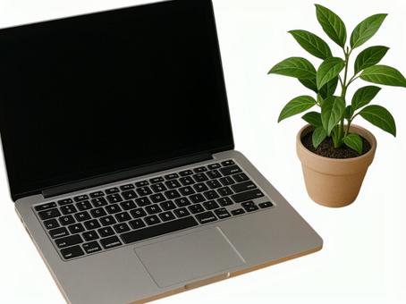 パソコンと観葉植物 パソコンと観葉植物の写真